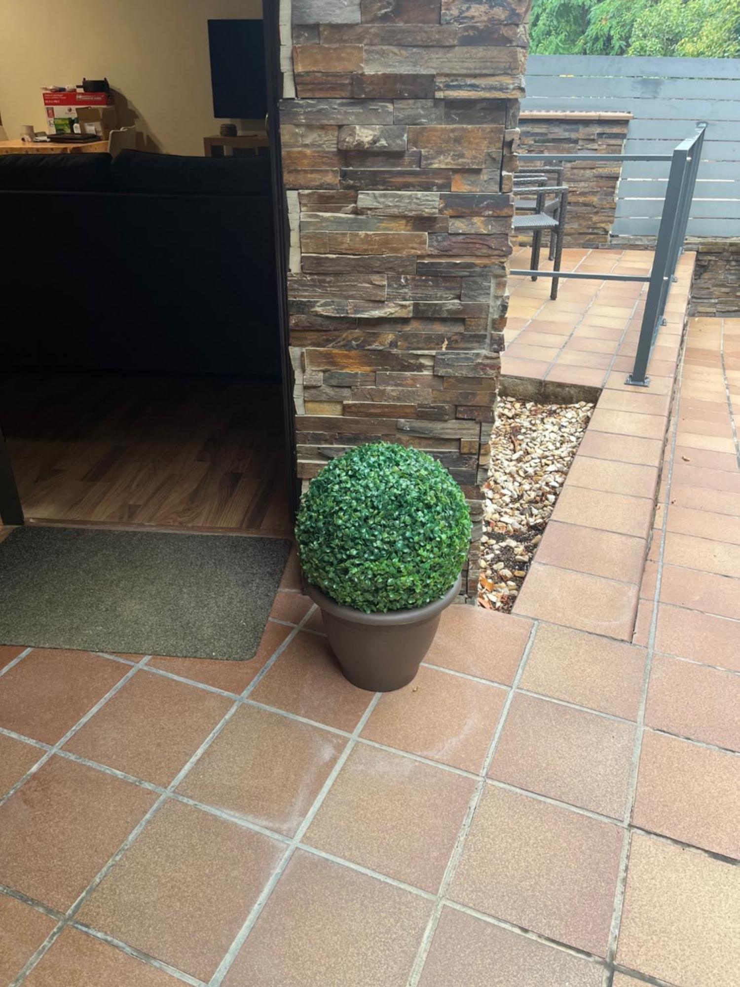 Apartamento El Mirador De La Farga Arbúcies Eksteriør billede