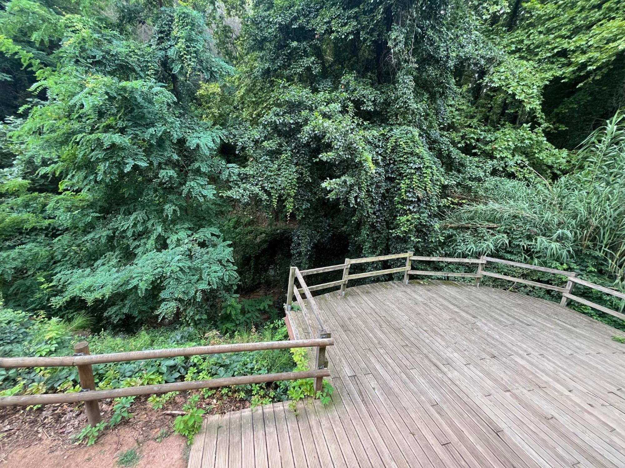 Apartamento El Mirador De La Farga Arbúcies Eksteriør billede